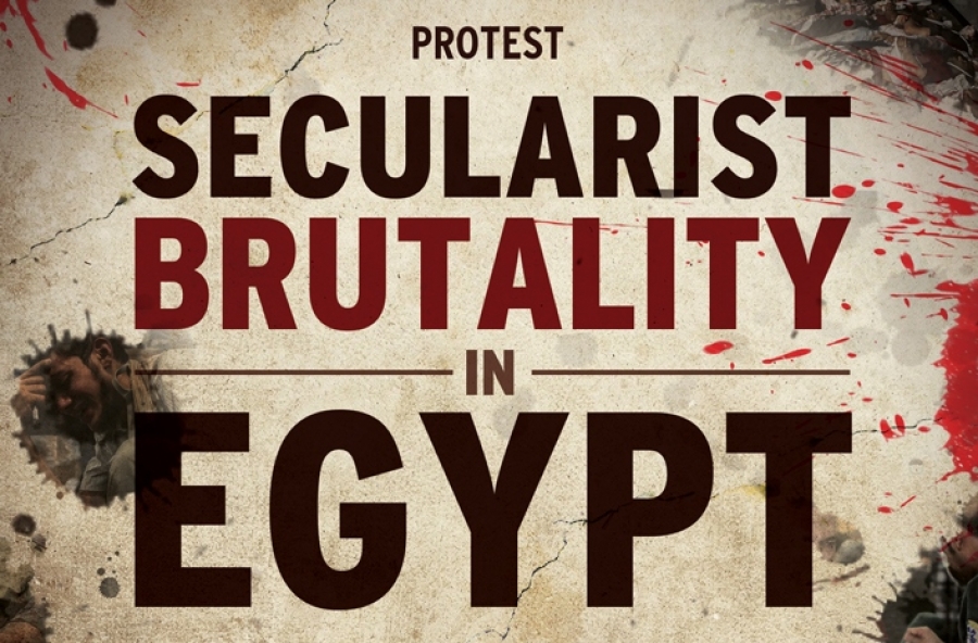 VIDEOS: PROTEST against Secularist Brutality in Egypt